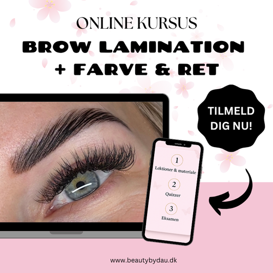 Brow Lamination Course 