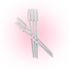 Mascara Brushes